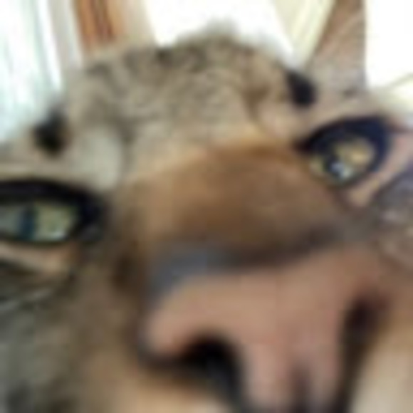 gleichkatelyn